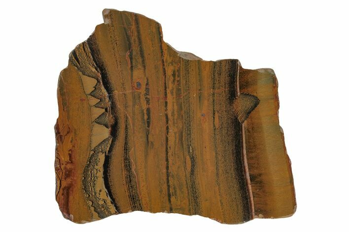Polished Packsaddle Tiger Eye Slab - Western Australia #216785
